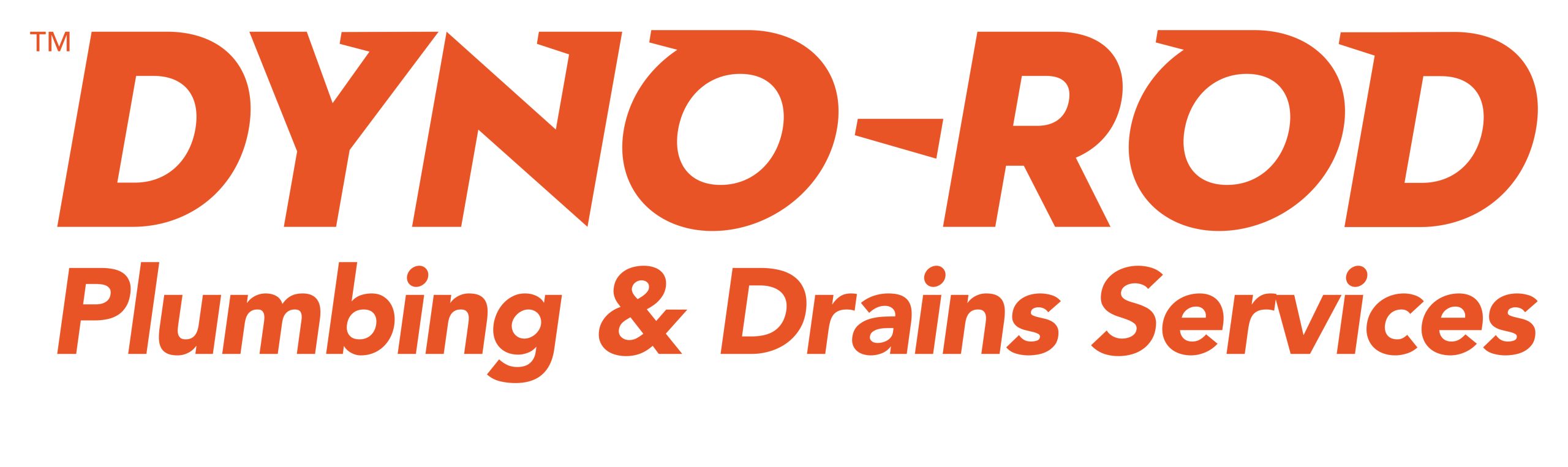 DYNO-ROD_P+D Services_CMYK